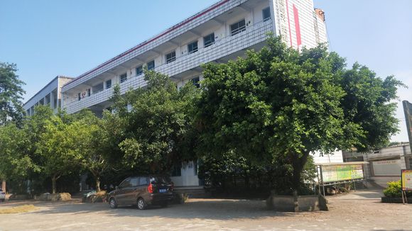 隆昌八中在哪里？