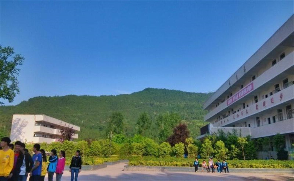 金山中學(xué)2020年學(xué)校招生計(jì)劃在哪兒看？