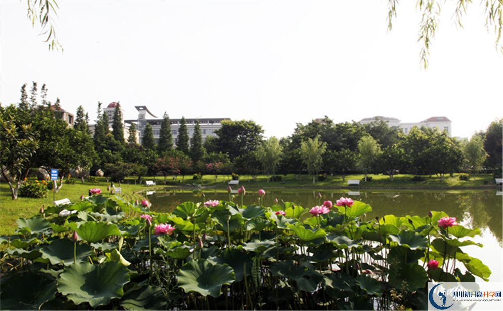 石橋中學(xué)地址怎么走？