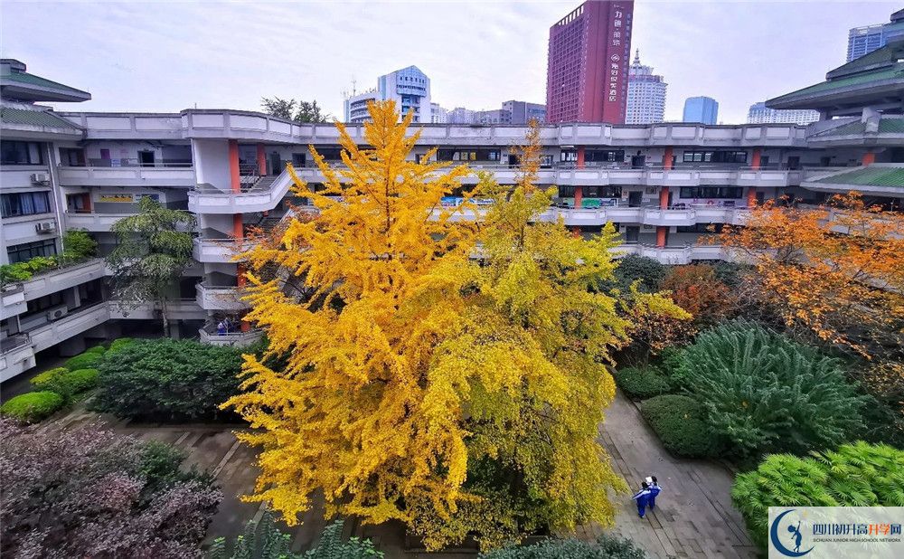 成都市泡桐樹中學(xué)2020年全國排名？